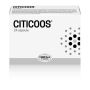 CITICOOS 24 COMPRESSE - OMEGA PHARMA SRL