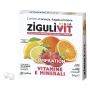 ZIGULIVIT COMPILATION VITAMINE E MINERALI 40 PALLINE