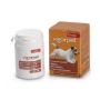 Vigorpet cani barattolo 20 compresse