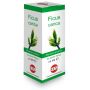 Ficus carica mg 100 ml gocce