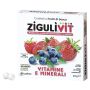 Ziguli vit fruttibosco 40 confetti