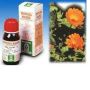 Calendula off 5 50ml tm