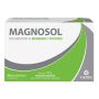 MAGNOSOL 20 BUSTINE EFFERVESCENTI - MEDA PHARMA SPA