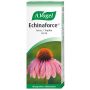 Echinaforce gocce 50 ml vogel