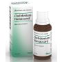 Guna spa CHELIDONIUM HOMACCORD 30ML GTT HEEL