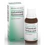 GELSEMIUM HOMACCORD GOCCE 30 ML - GUNA SPA