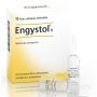 HEEL ENGYSTOL 10 FIALE DA 1,1ML