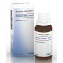 Arnica Compositum 30 ml Gocce Heel