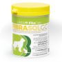 Fibrasol gg barattolo 100 g con misurino da 3 g