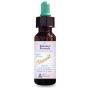 Balance remedy 10 ml