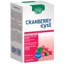 CRANBERRY CYST 16 POCKET DRINK - ESI SPA