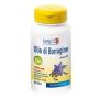 LONGLIFE OLIO DI BORRAGINE BIO 50 PERLE - PHOENIX SRL - LONGLIFE