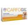 Carfogil 30 compresse