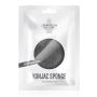 Fde konjac sponge carbone bam