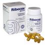 Ribecox 60prl