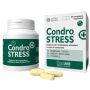 Condrostress + 60cpr mastic