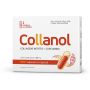 COLLANOL 20 CAPSULE - VISISLIM SRL