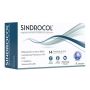 SINDROCOL 14 STICK PACK - MEDISIN Srl 