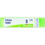 China regia*5ch 80gr 4g